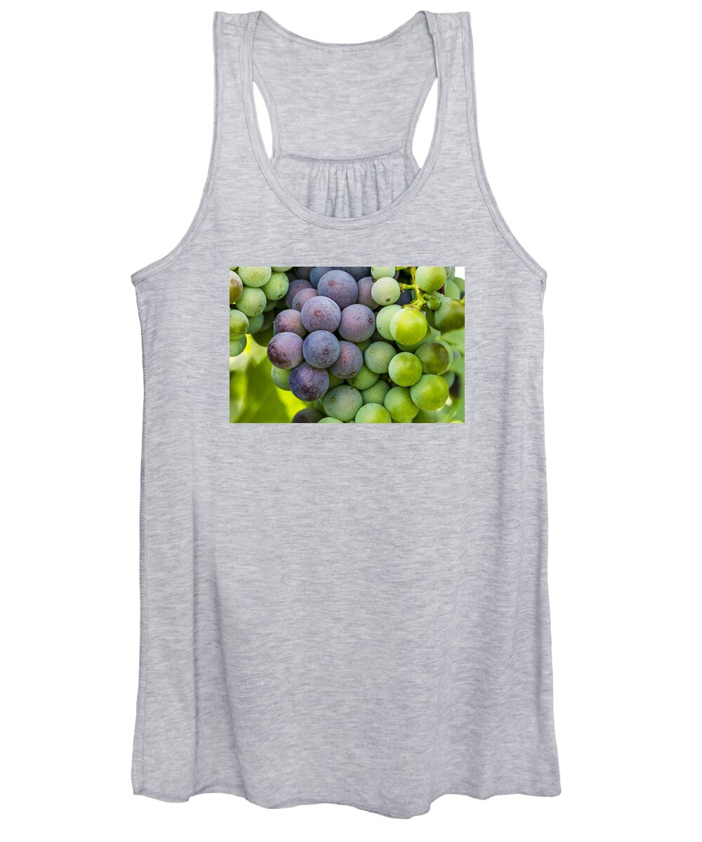 Colorado Vineyard Women's Tank Top featuring the photograph Wine Grapes Close up by Teri Virbickis