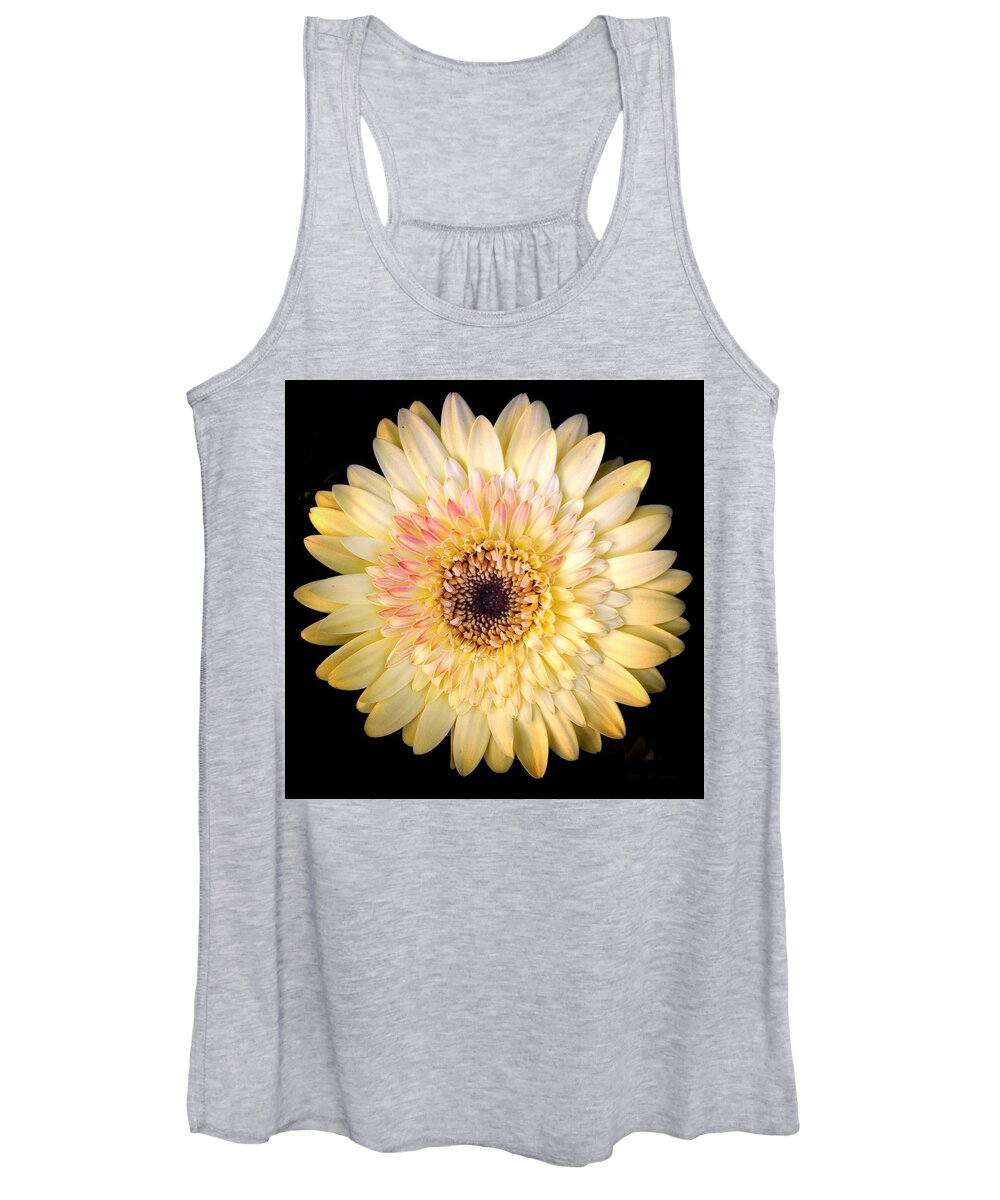 Scoobydrew81 Andrew Rhine Flower Flowers Yellow Pink Cream Petals Bloom Blooms Macro Botanical Black Contrast Petal Botanical Botany Floral Flora Simple Round Spring Gerbera Daisy Art Sunny Soft Women's Tank Top featuring the photograph Yellow Pink Bloom 1 by Andrew Rhine