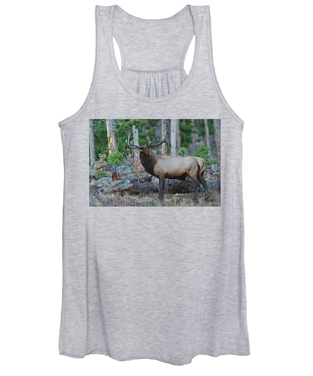Bull Elk Women's Tank Top featuring the photograph A Bull Elk Bugling in the Rocky Mountains #2 by Gary Langley