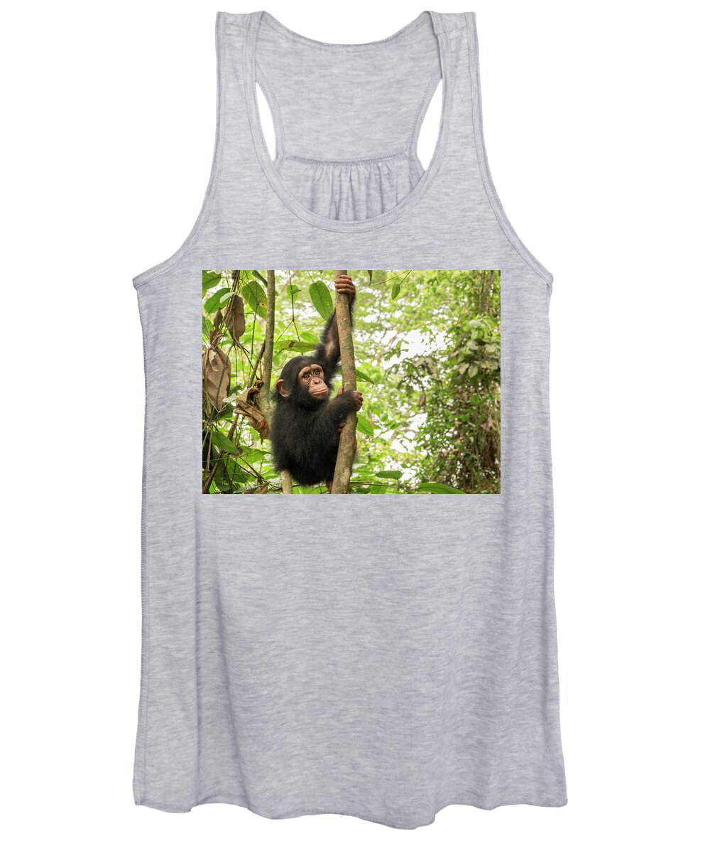 Gerry Ellis Women's Tank Top featuring the photograph Little Larry Climbing In Forest #3 by Gerry Ellis