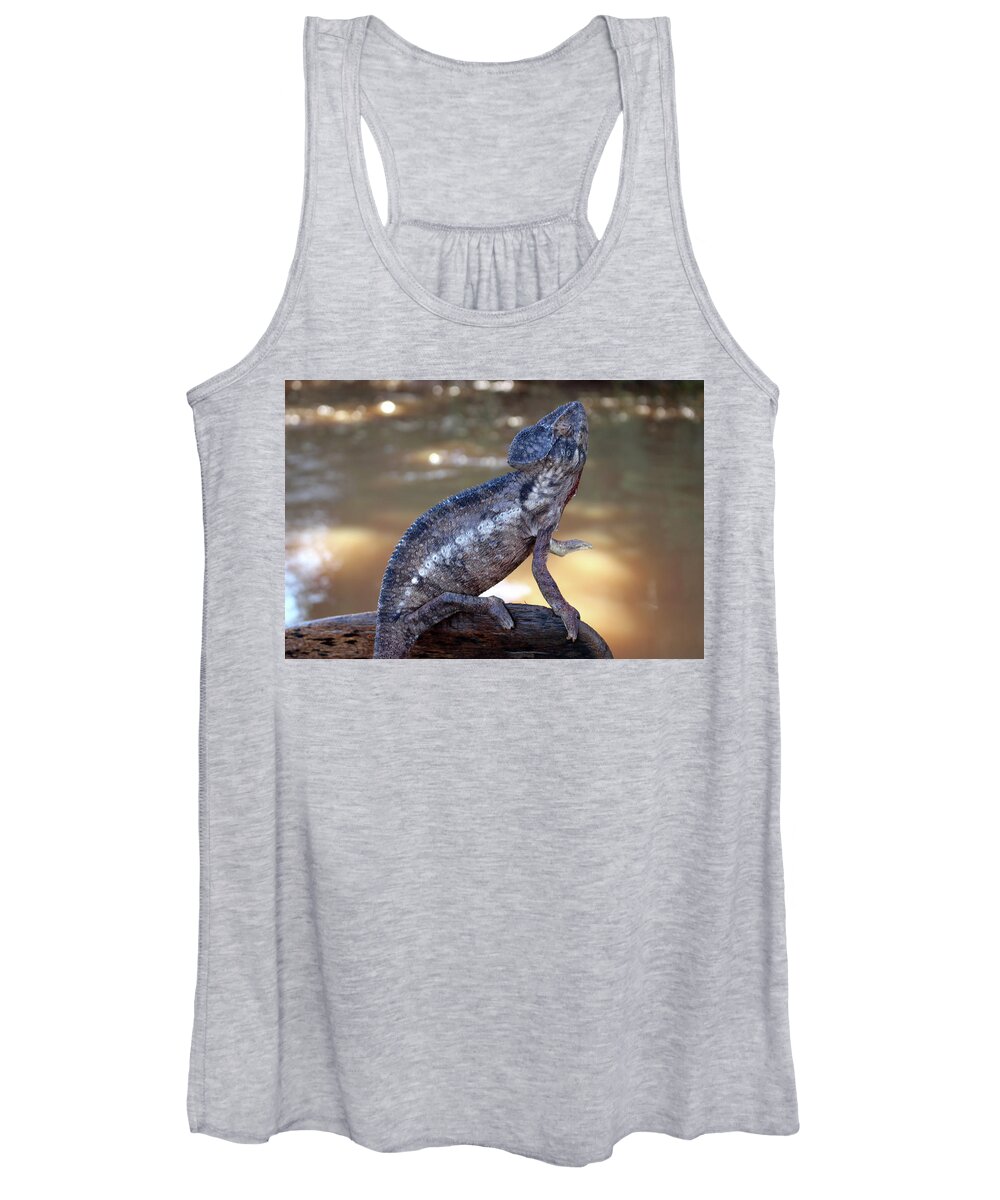  Women's Tank Top featuring the photograph 7 by Eric Pengelly