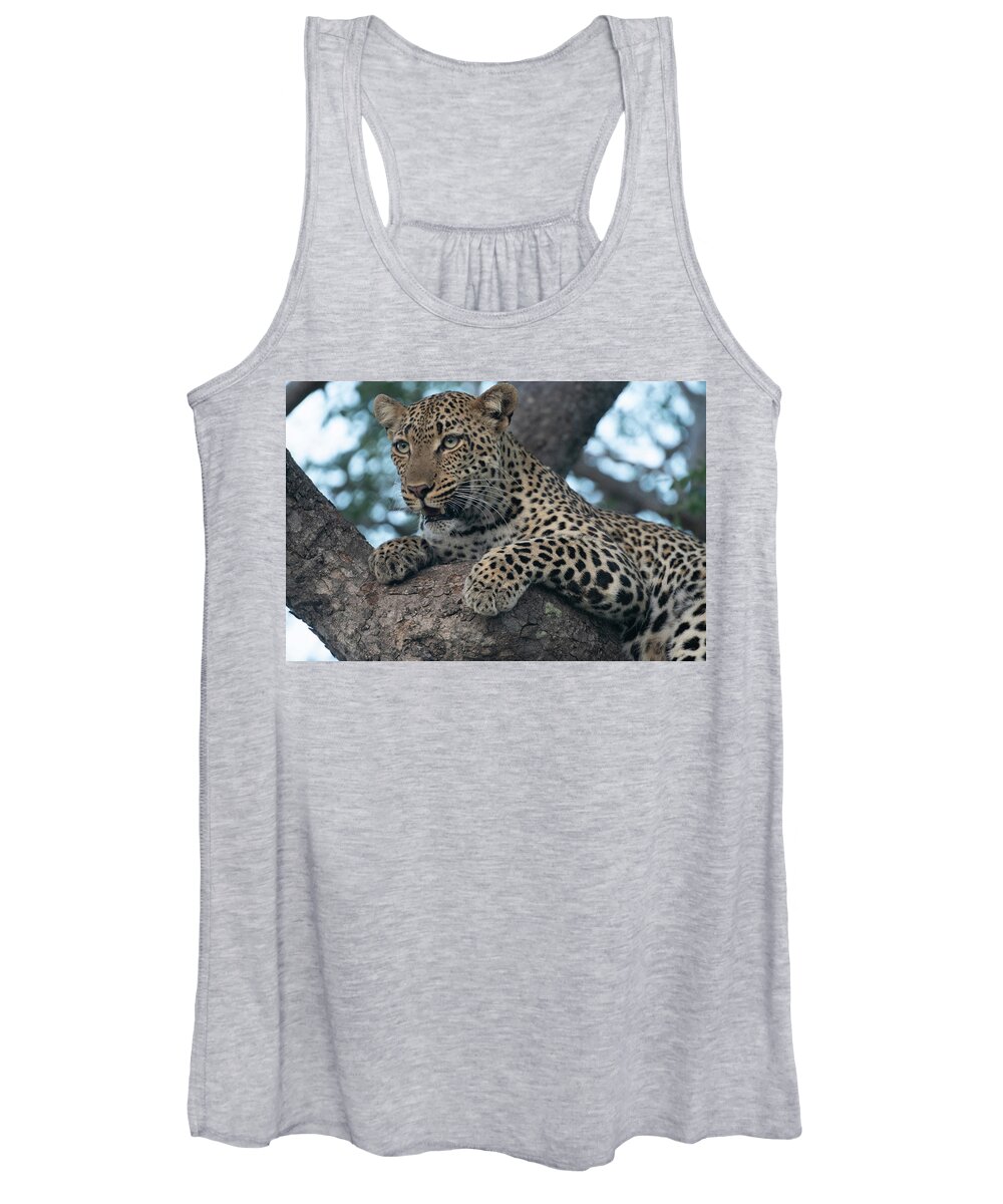Leopard Women's Tank Top featuring the photograph A Focused Leopard by Mark Hunter