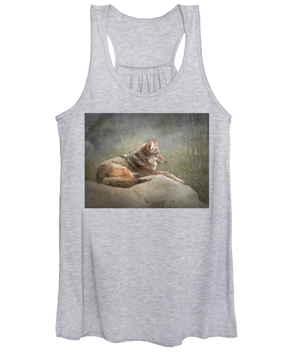 Coyote Women's Tank Top featuring the photograph Afternoon Repose by Teresa Wilson