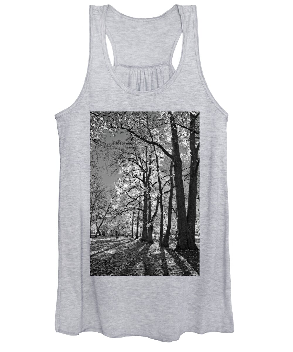 Landscape Women's Tank Top featuring the photograph Autumn Through the Nut Trees Black and White by Allan Van Gasbeck
