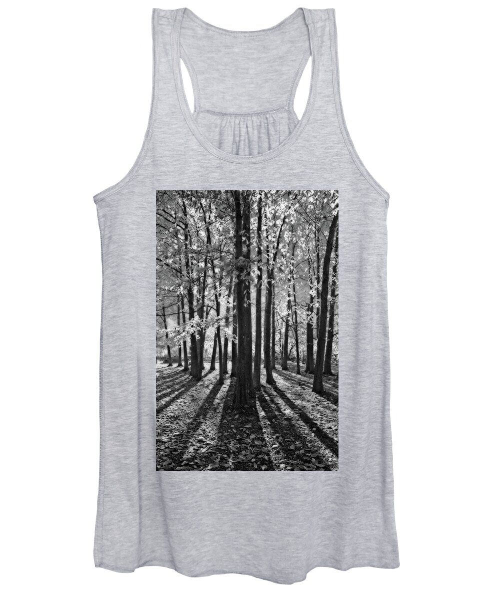 Landscape Women's Tank Top featuring the photograph Backlit Autumn Trees by Allan Van Gasbeck