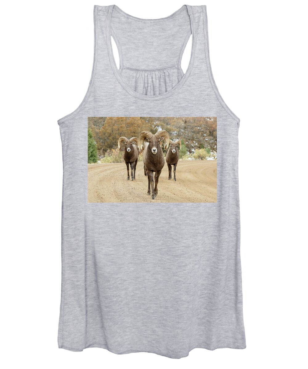 Bighorn Sheep Women's Tank Top featuring the photograph Bighorn Rams Head On by Tony Hake