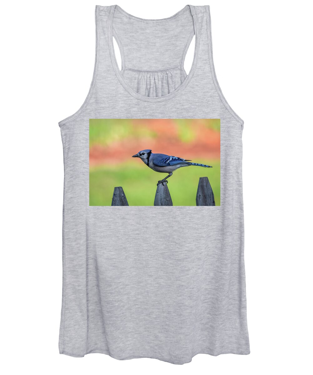 Blue Jay Women's Tank Top featuring the photograph Blue Jay by Michelle Wittensoldner