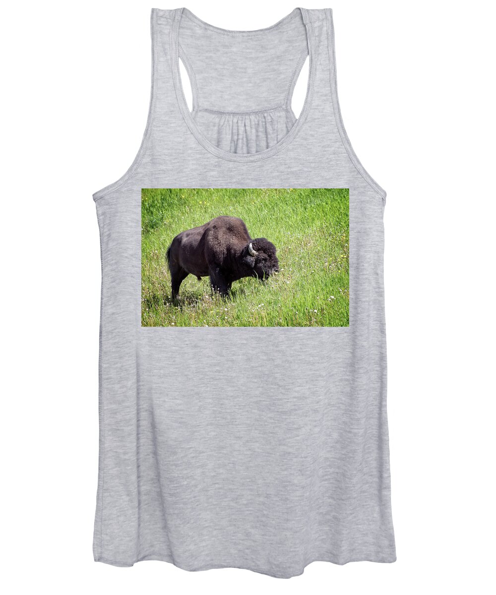 Buffalo Women's Tank Top featuring the photograph Buffalos Spring Feast by Jeanette Mahoney