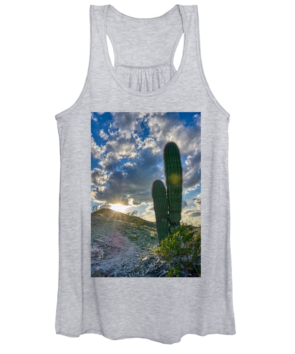 Sun Women's Tank Top featuring the photograph Cactus Portrait by Anthony Giammarino