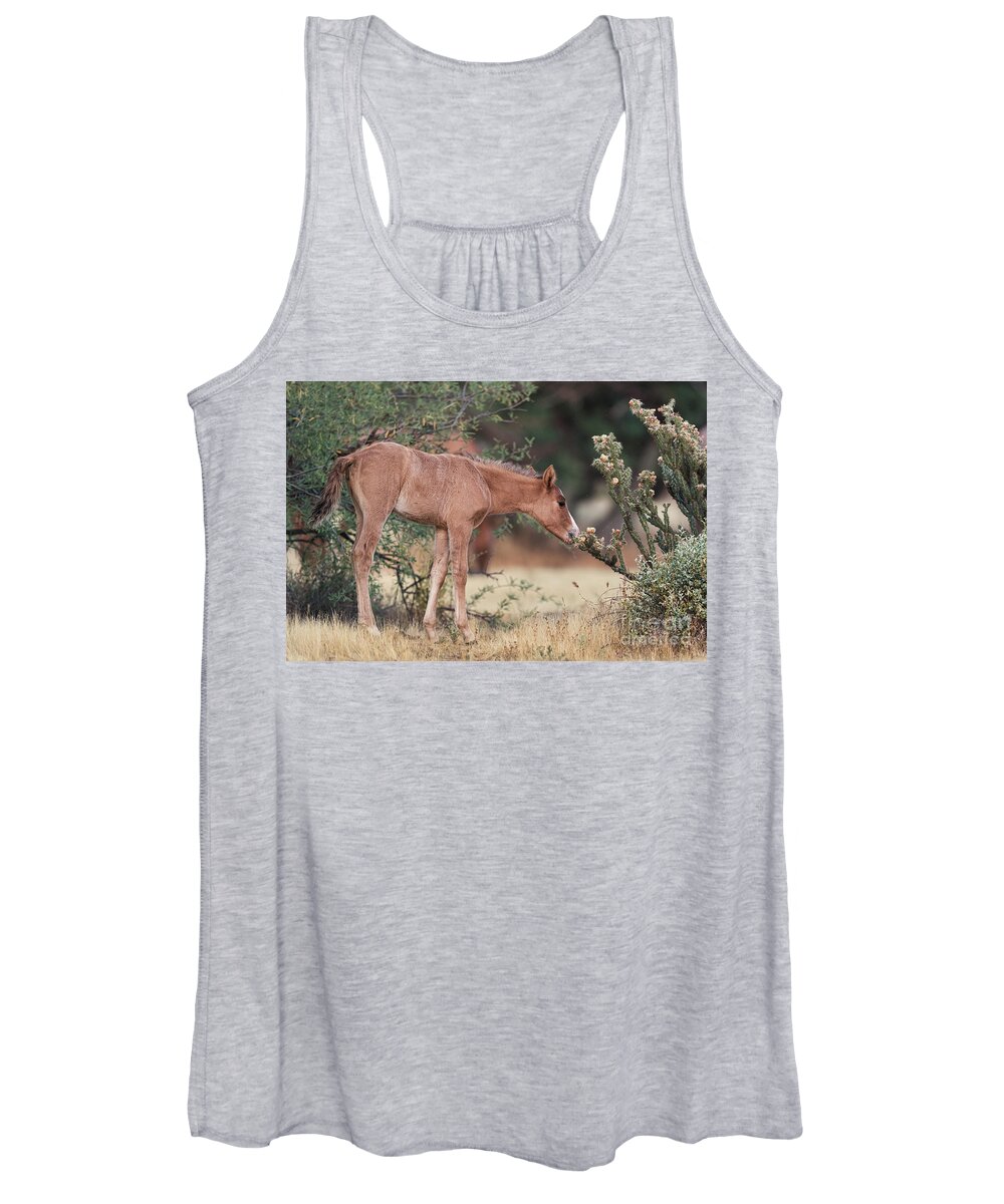 Foal Women's Tank Top featuring the photograph Can I Eat This? by Shannon Hastings