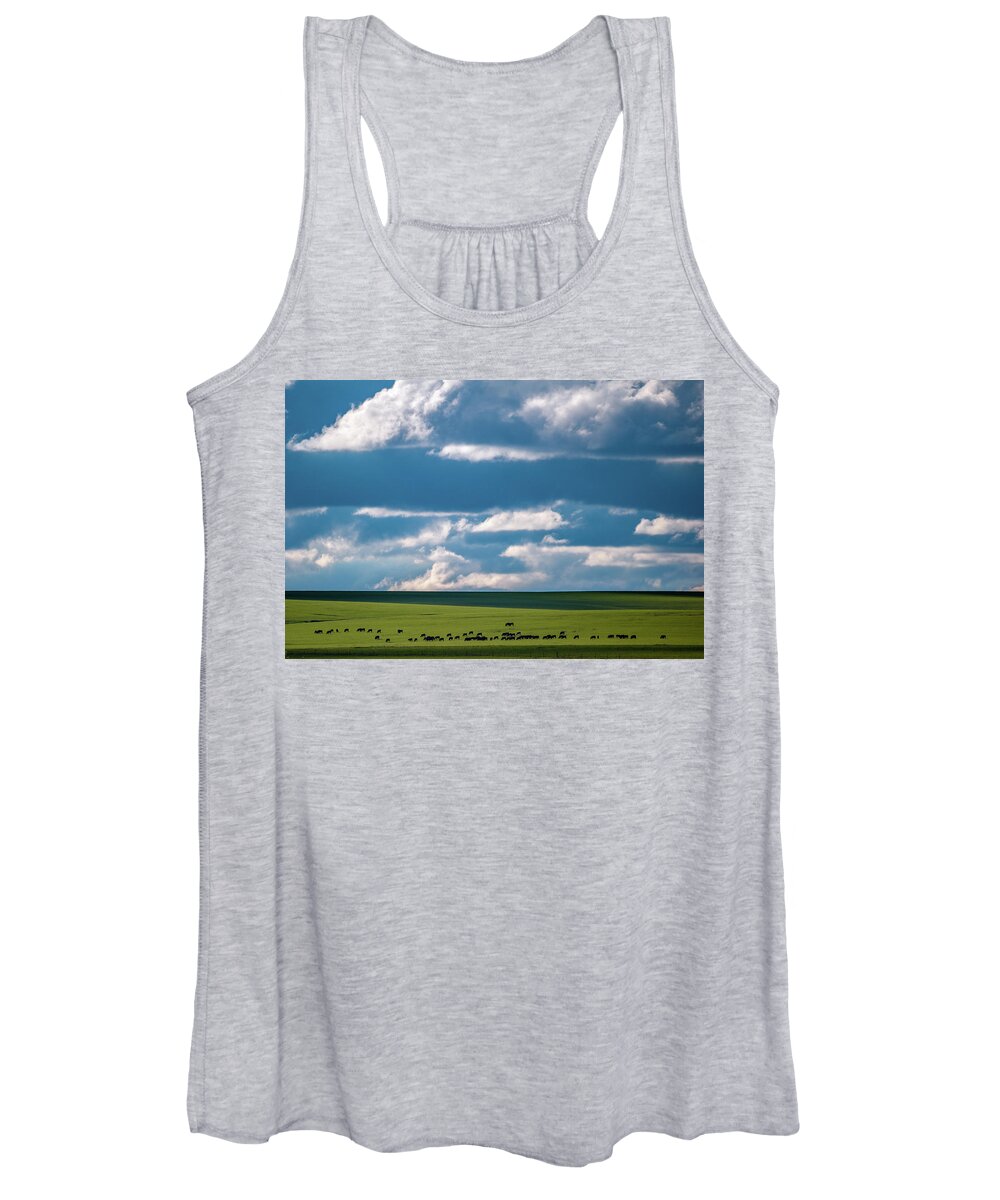 Cattle Women's Tank Top featuring the photograph Cattle on the Flint Hills Prairie by Jeff Phillippi