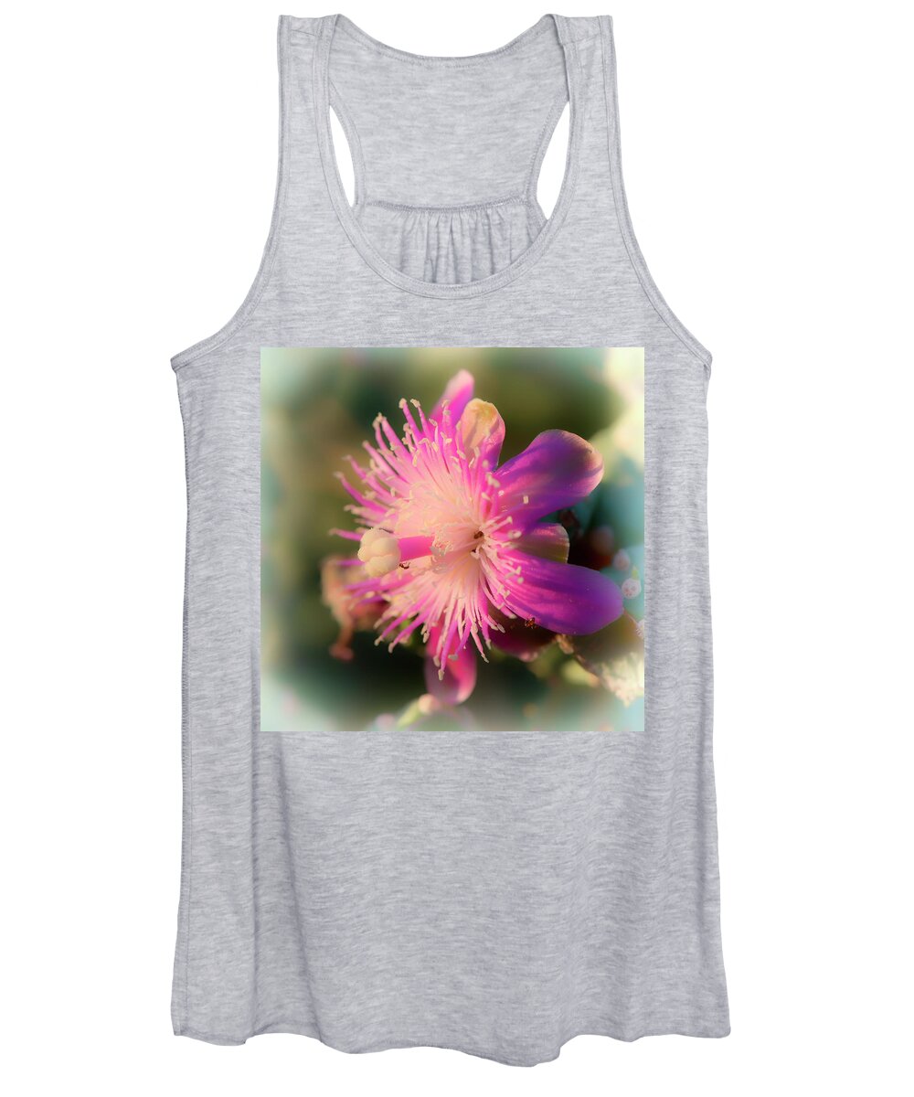 Cactus Women's Tank Top featuring the photograph Chainfruit Cholla Flower by Michael Newberry
