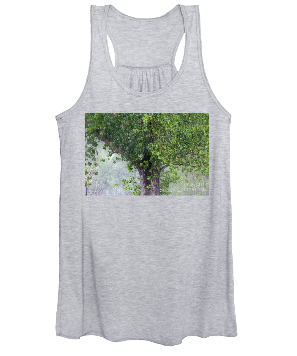 Old Growth Women's Tank Top featuring the photograph old Black Cottonwood tree in rainstorm by Robert C Paulson Jr