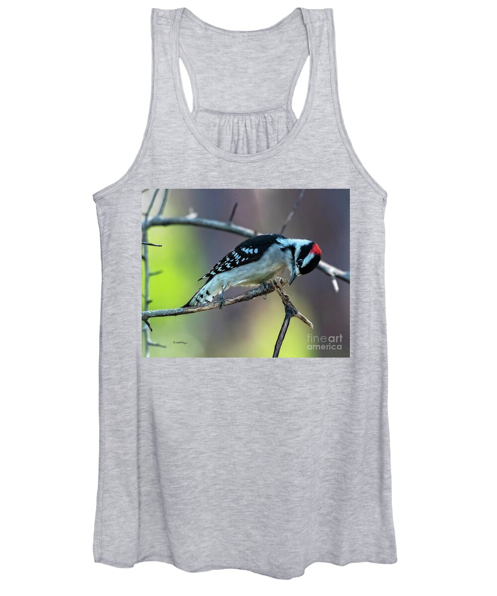 Woodpeckers Women's Tank Top featuring the photograph Downy Woodpecker by DB Hayes