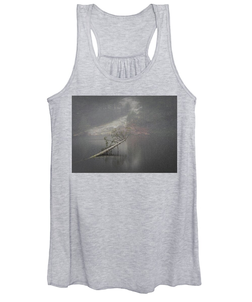 Snow Women's Tank Top featuring the photograph Fallen Giant by Lynn Wohlers