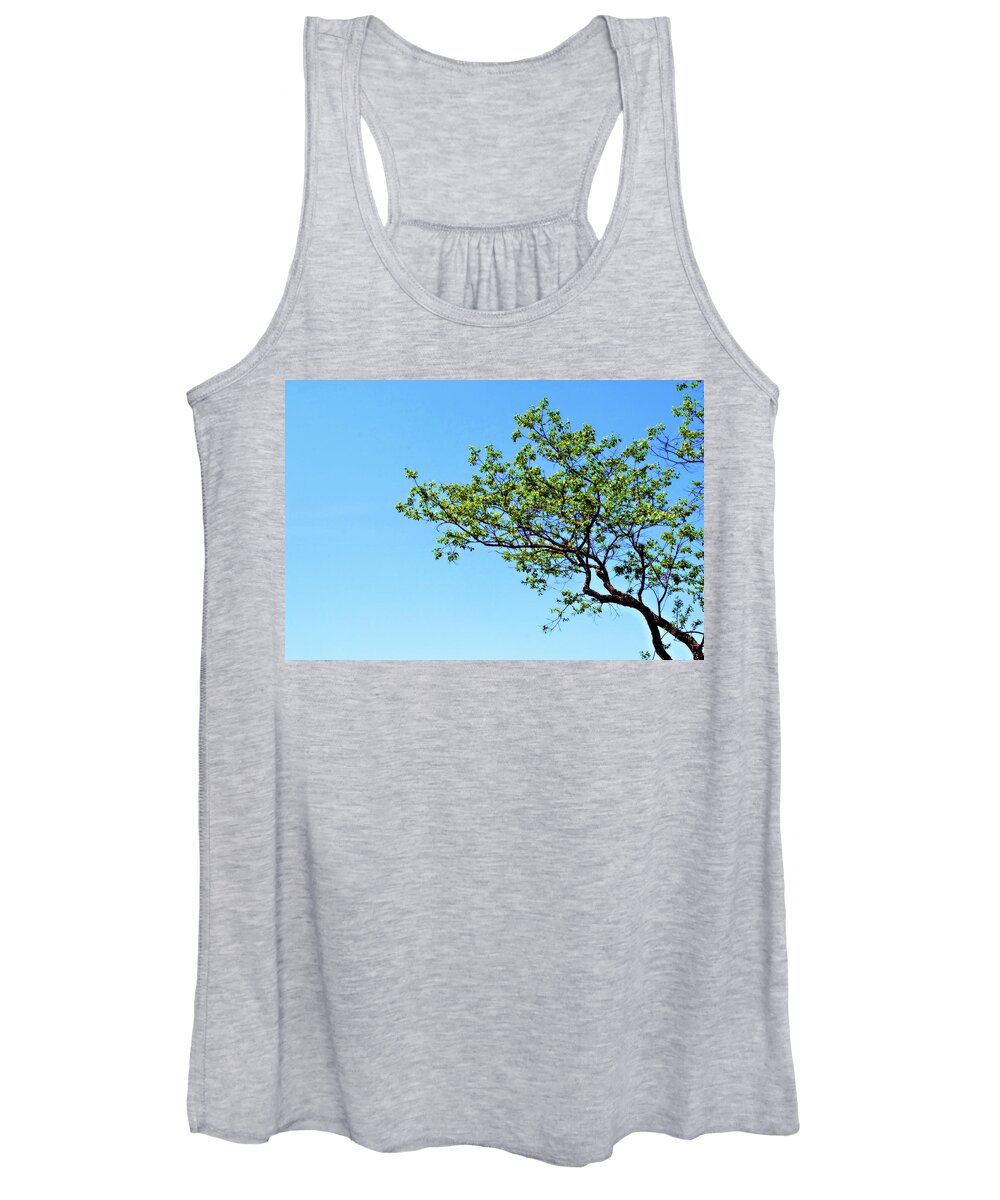 Tree Women's Tank Top featuring the photograph Far Reaching by Michelle Wermuth