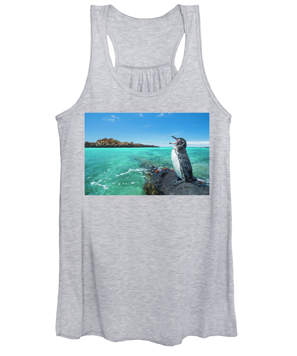 Animals Women's Tank Top featuring the photograph Galapagos Penguin Calling by Tui De Roy