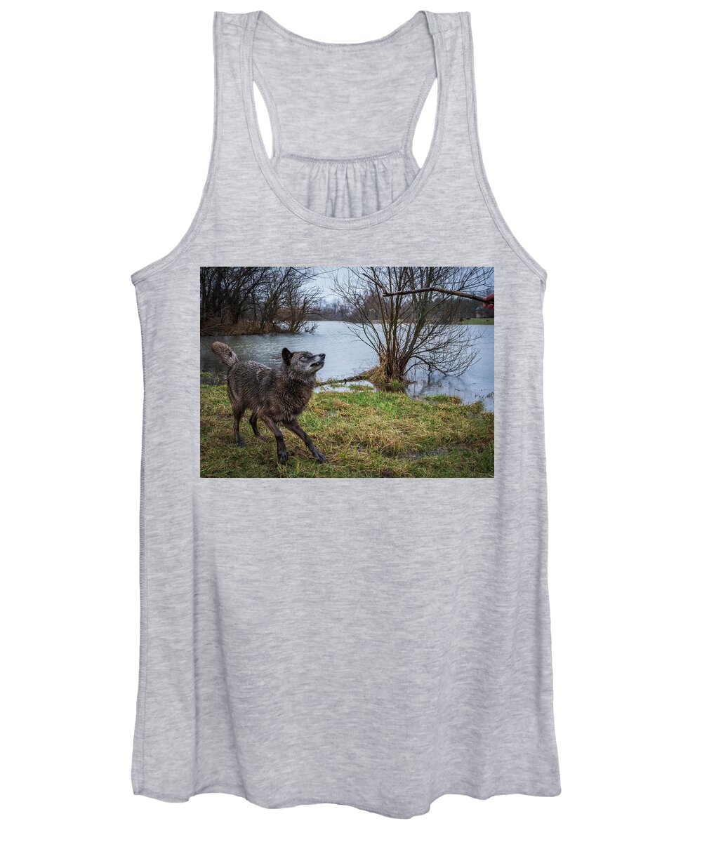 Black Wolf Wolves Women's Tank Top featuring the photograph Get the Stick by Laura Hedien