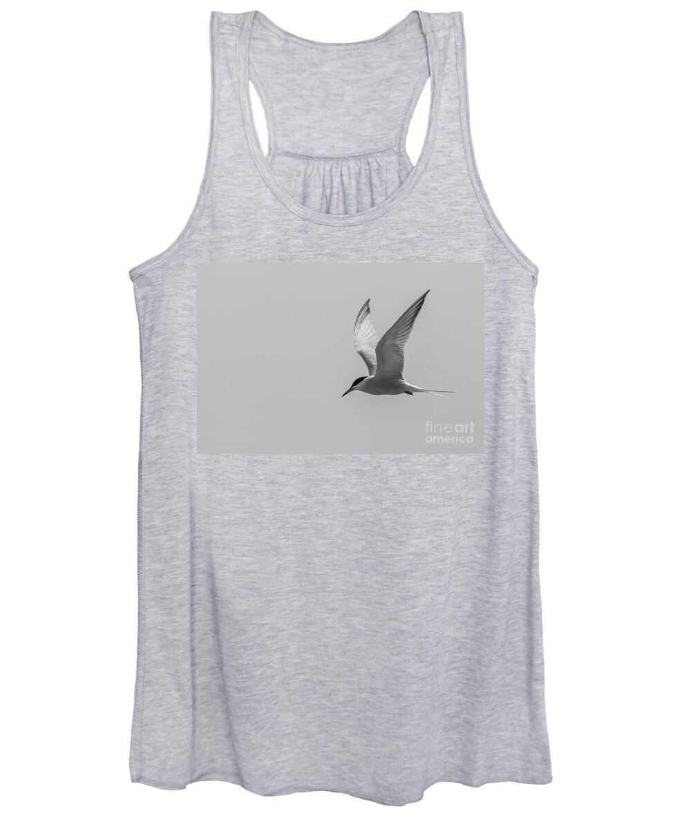Photography Women's Tank Top featuring the photograph Graceful Tern by Alma Danison