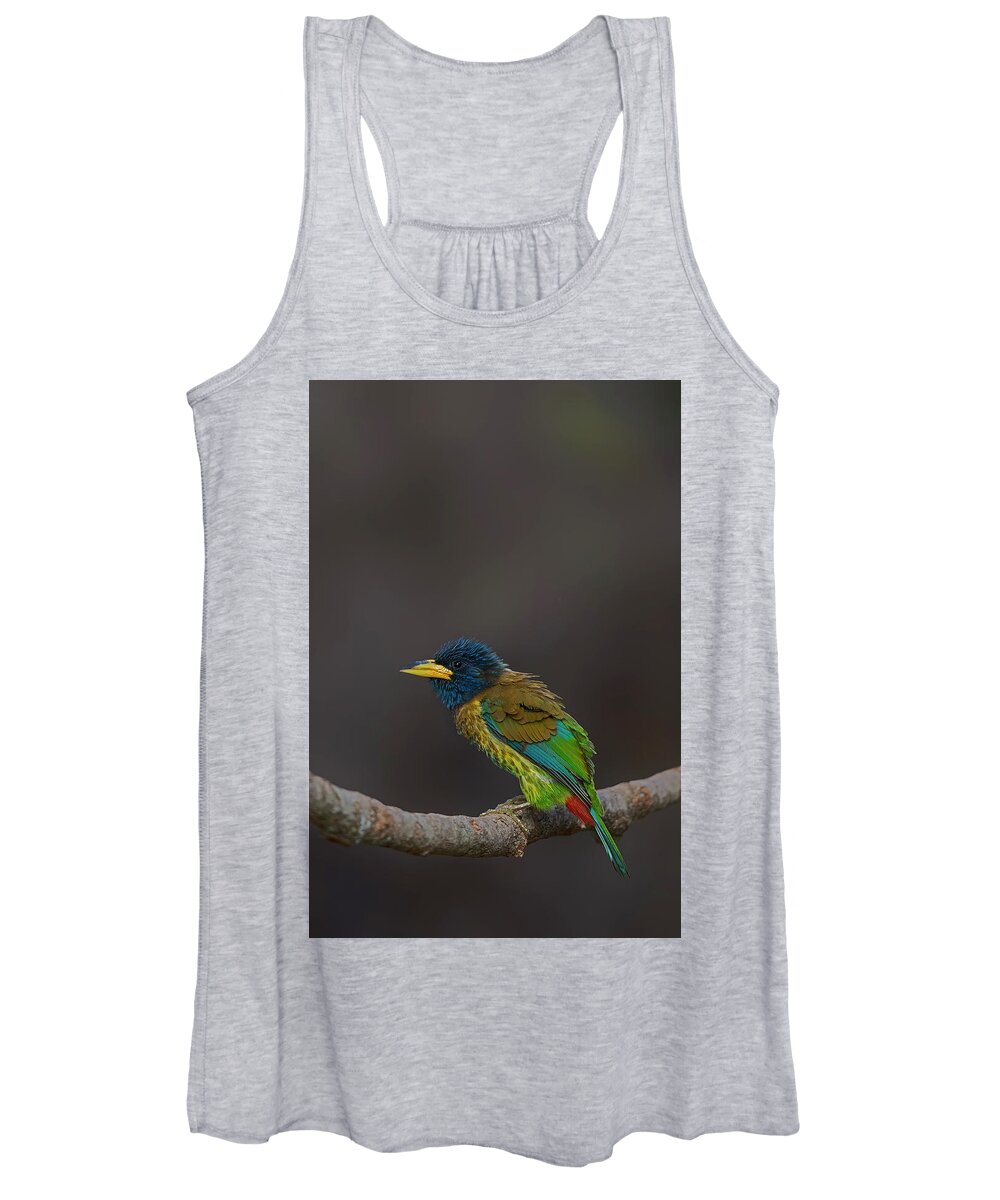 Bird Images For Print Women's Tank Top featuring the photograph Great barbet by Uma Ganesh