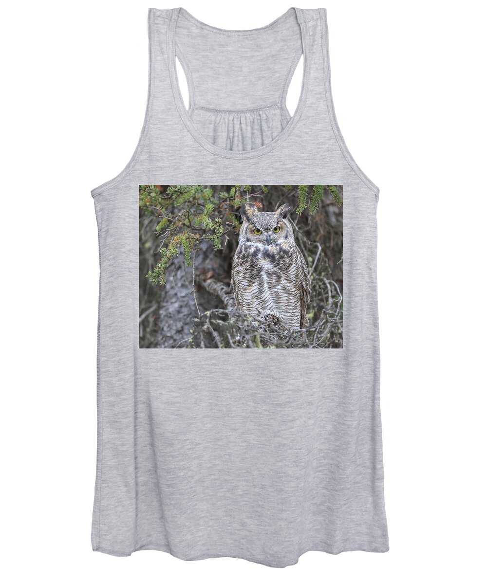Sam Amato Photography Women's Tank Top featuring the photograph Great Horned Owl Denali Park by Sam Amato