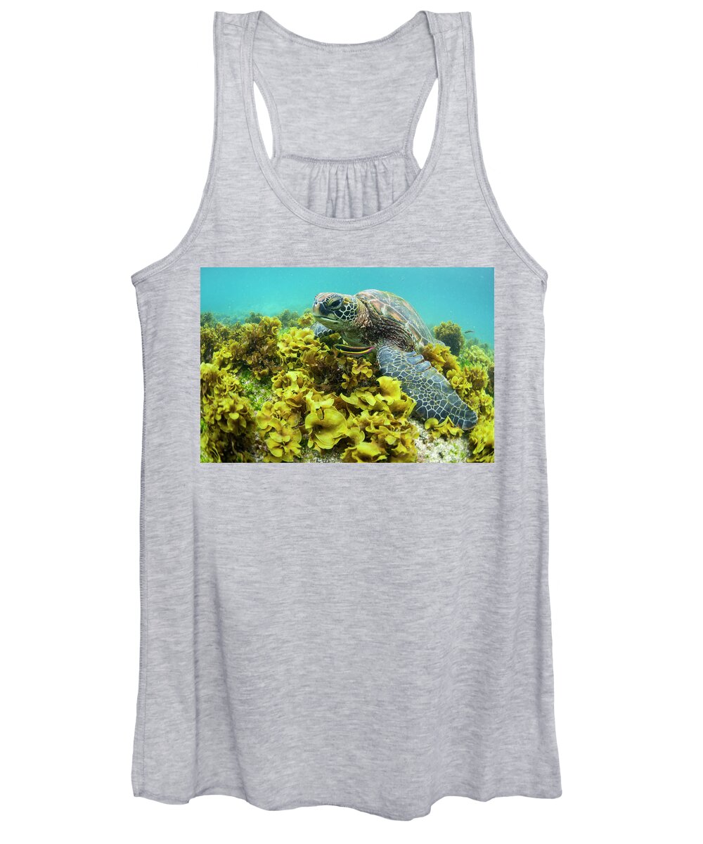 Animals Women's Tank Top featuring the photograph Green Sea Turtle In Seaweed by Tui De Roy