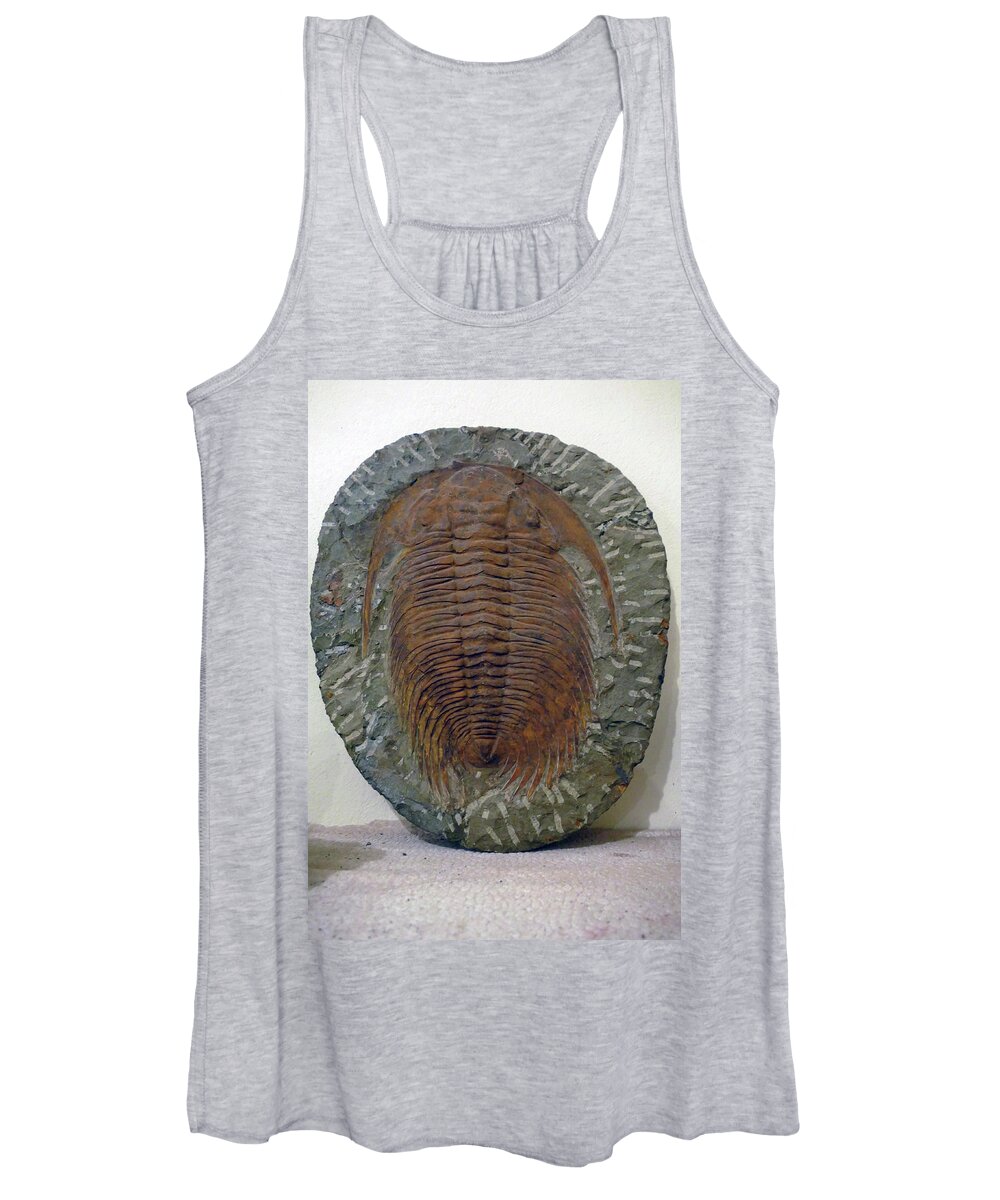 Erfouad Women's Tank Top featuring the photograph Huge trilobite fossil, hundreds of millions of years old by Steve Estvanik