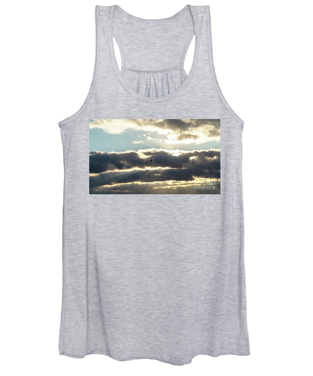 Gull Women's Tank Top featuring the photograph Icarus Beware by Scott Evers