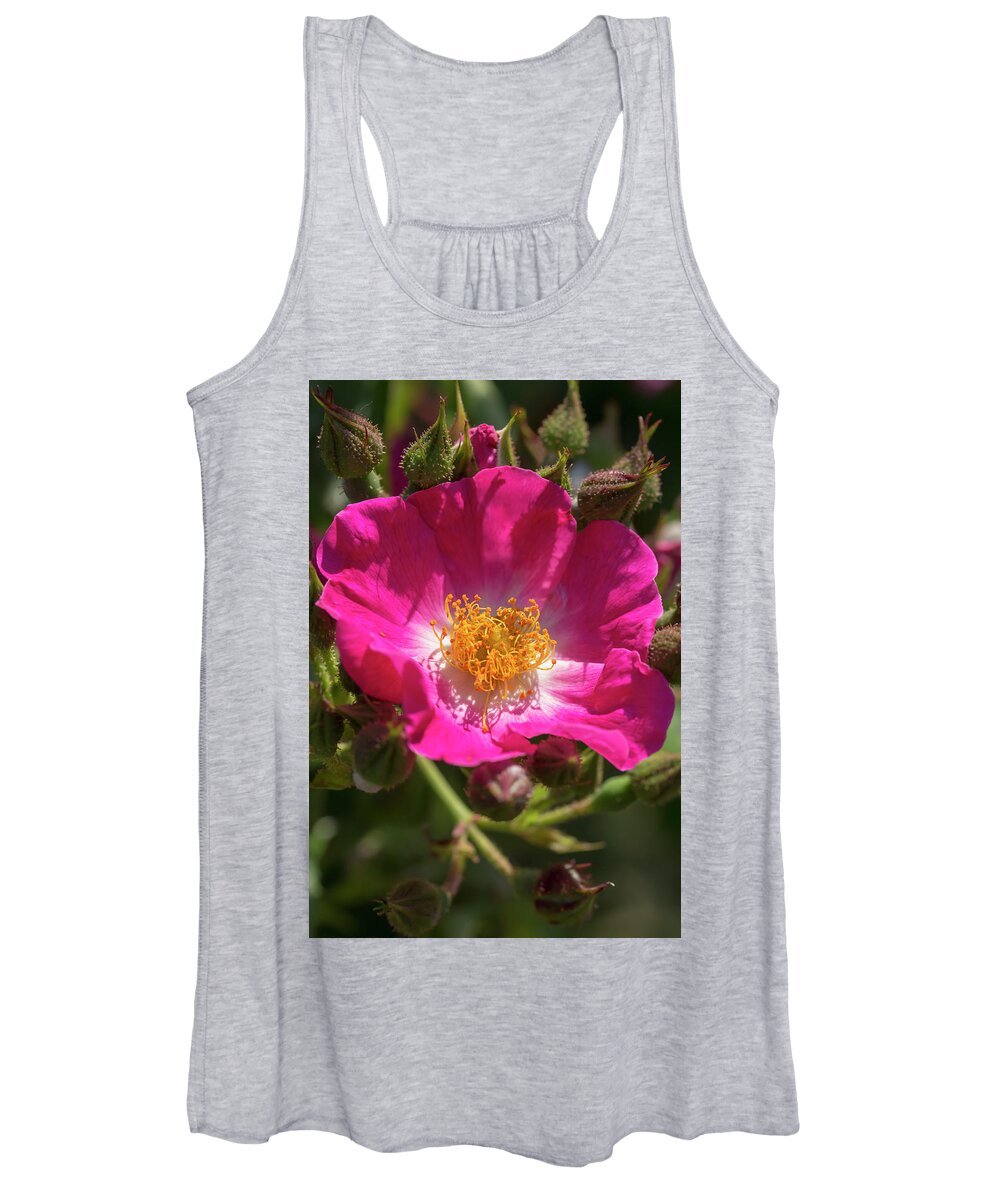 Rose Women's Tank Top featuring the photograph Magenta Rose by Dawn Cavalieri