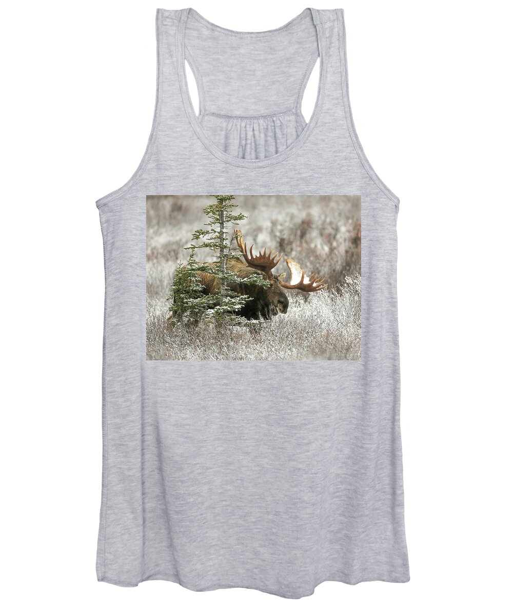 Sam Amato Photography Women's Tank Top featuring the photograph Monster Denali Bull Moose by Sam Amato
