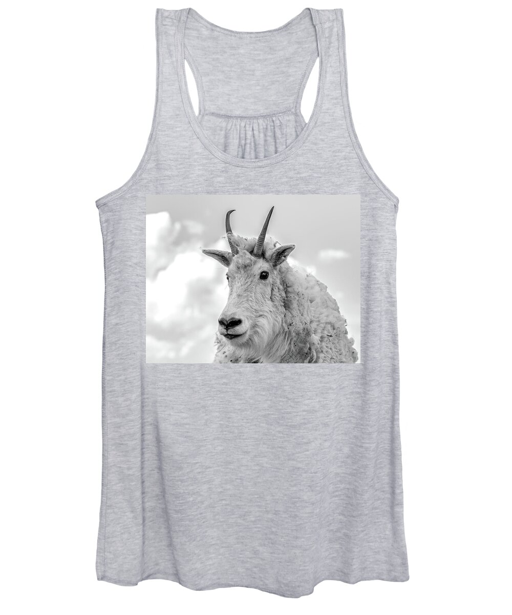 Mountain Goat Women's Tank Top featuring the photograph Mountain Goat in Black and White 14x11 by Mindy Musick King