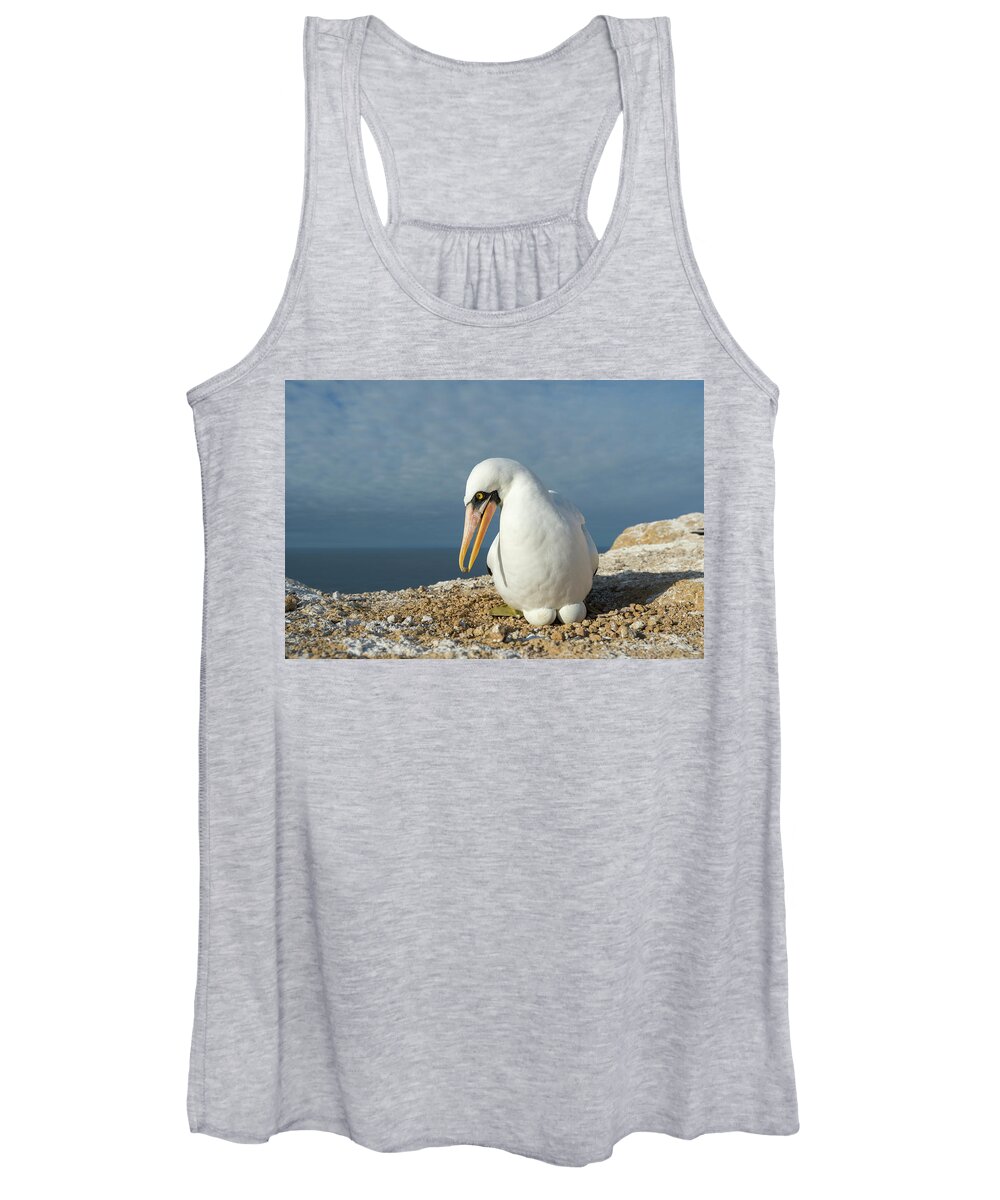 Animals Women's Tank Top featuring the photograph Nazca Booby Brooding Eggs by Tui De Roy