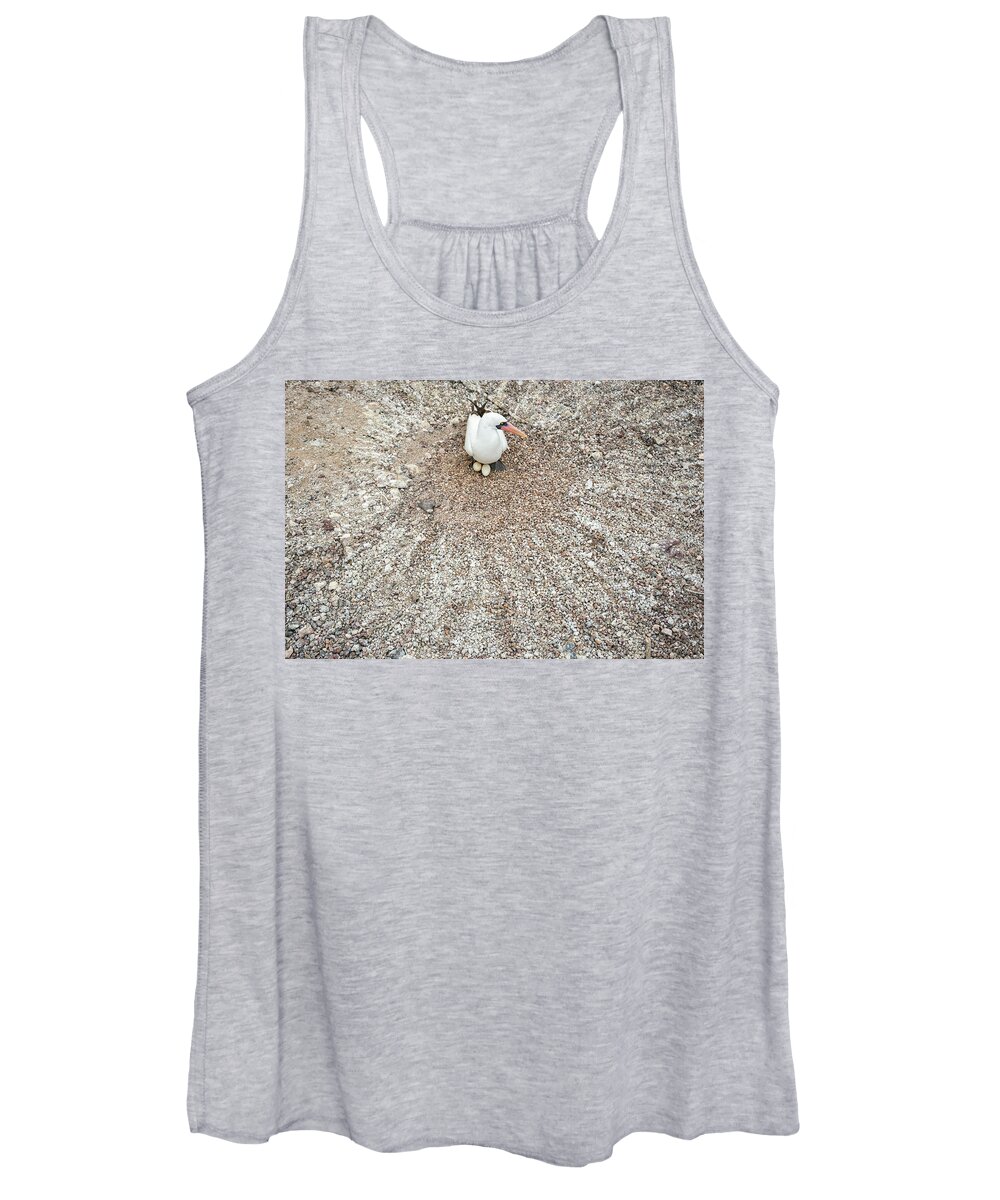 Animal Women's Tank Top featuring the photograph Nazca Booby With Eggs On Nest by Tui De Roy