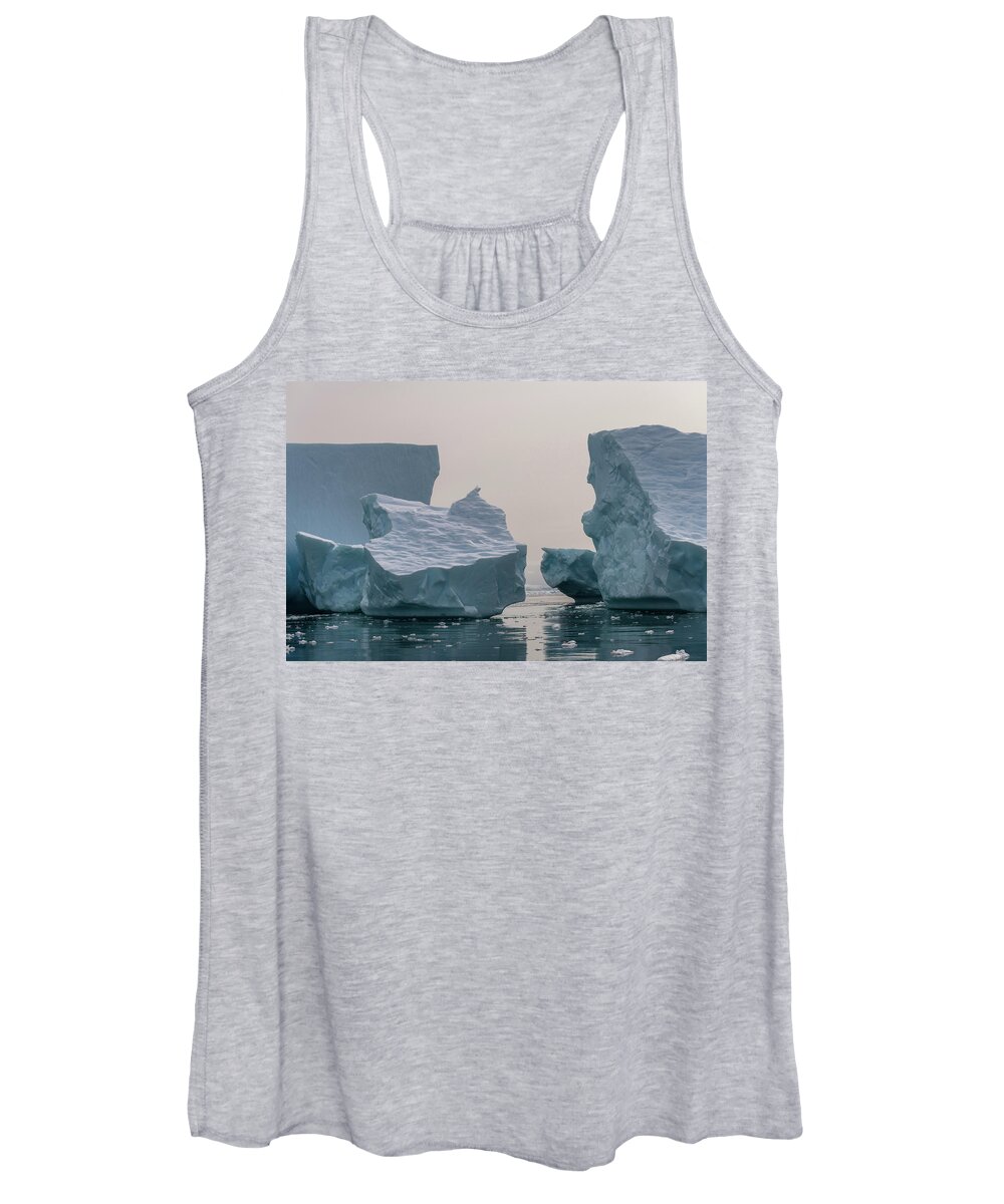 Antarctica Women's Tank Top featuring the photograph One Cube or Two by Alex Lapidus