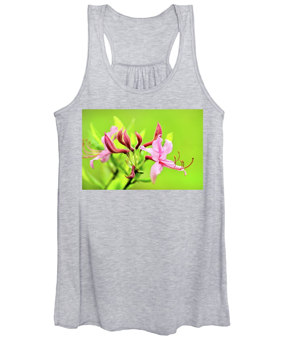 Honeysuckle Women's Tank Top featuring the photograph Pink Honeysuckle Flowers by Christina Rollo
