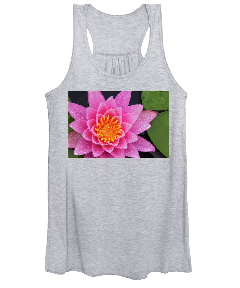Bellamy Reservoir Women's Tank Top featuring the photograph Pink Petals In The Rain by Jeff Sinon