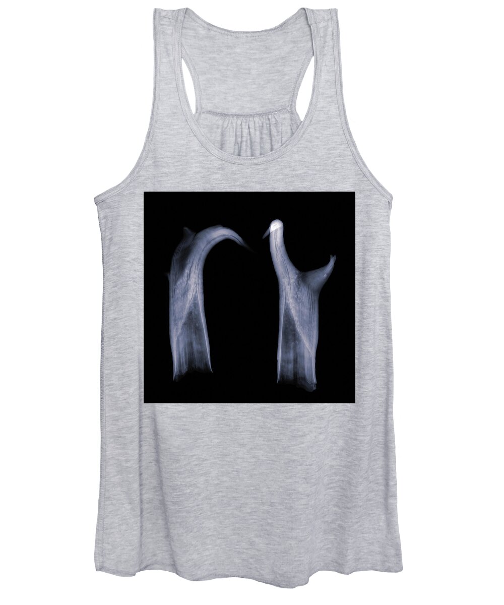 Kansas Women's Tank Top featuring the photograph Pronghorn x-ray 03 by Rob Graham