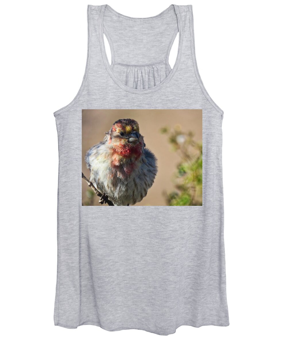 Arizona Women's Tank Top featuring the photograph Rare Multicolored Male House Finch by Judy Kennedy