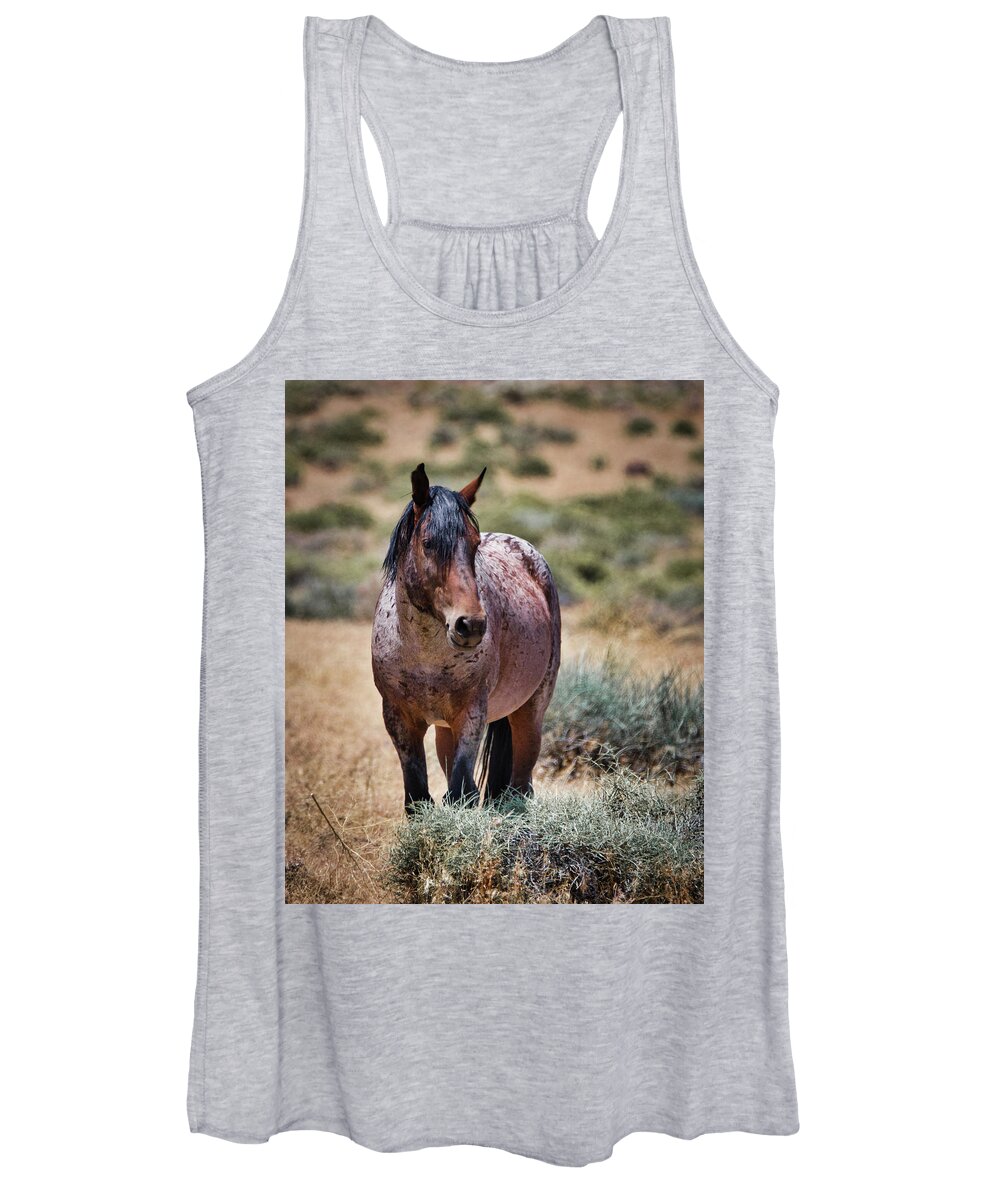 Horse Women's Tank Top featuring the photograph Red Roan Alerted by American Landscapes
