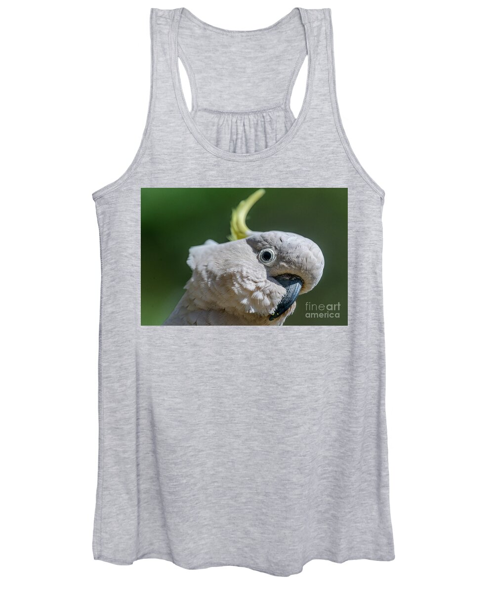 Nature Women's Tank Top featuring the photograph Seriously? by Werner Padarin