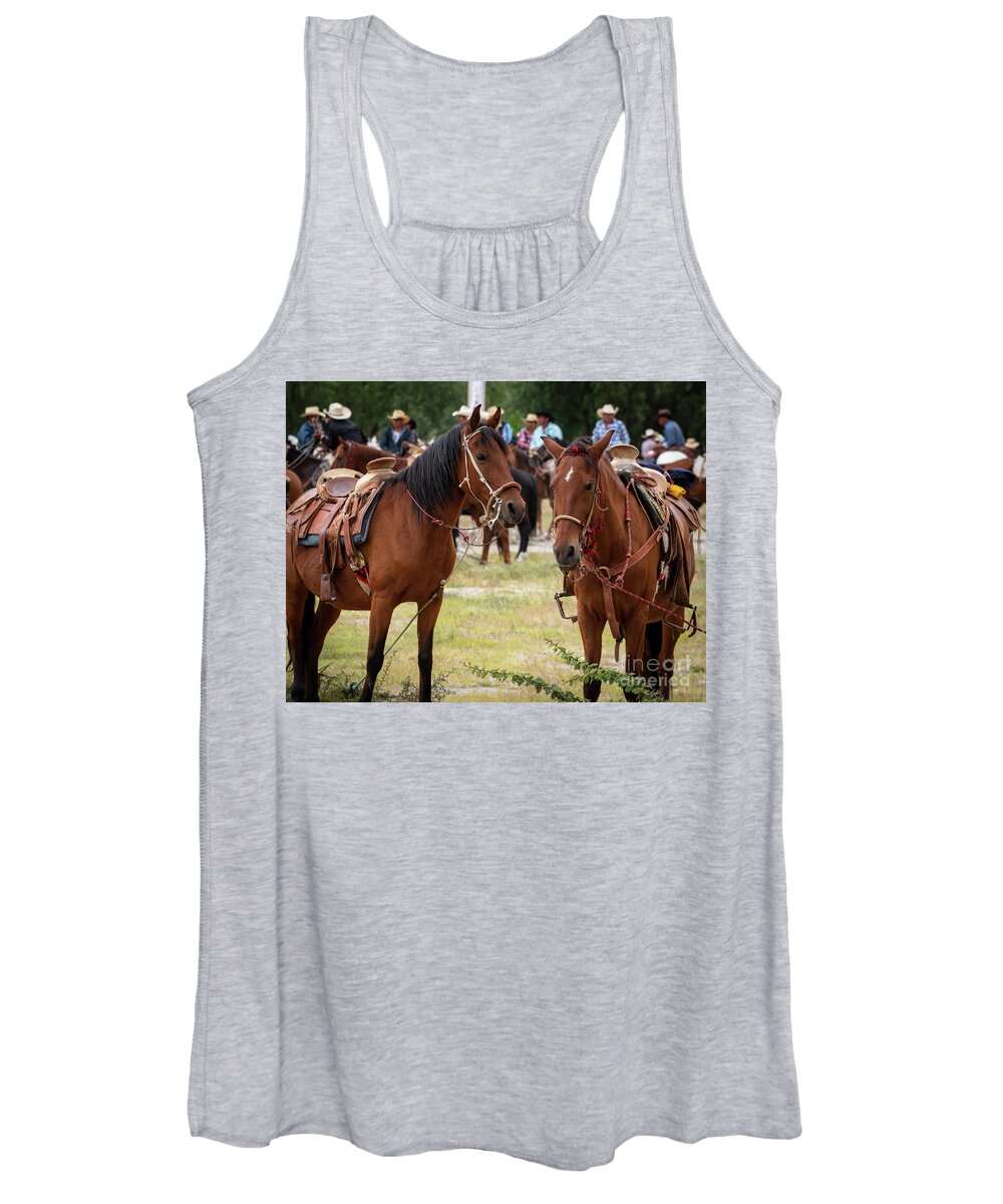 Horses Women's Tank Top featuring the photograph So, Nu by Barry Weiss
