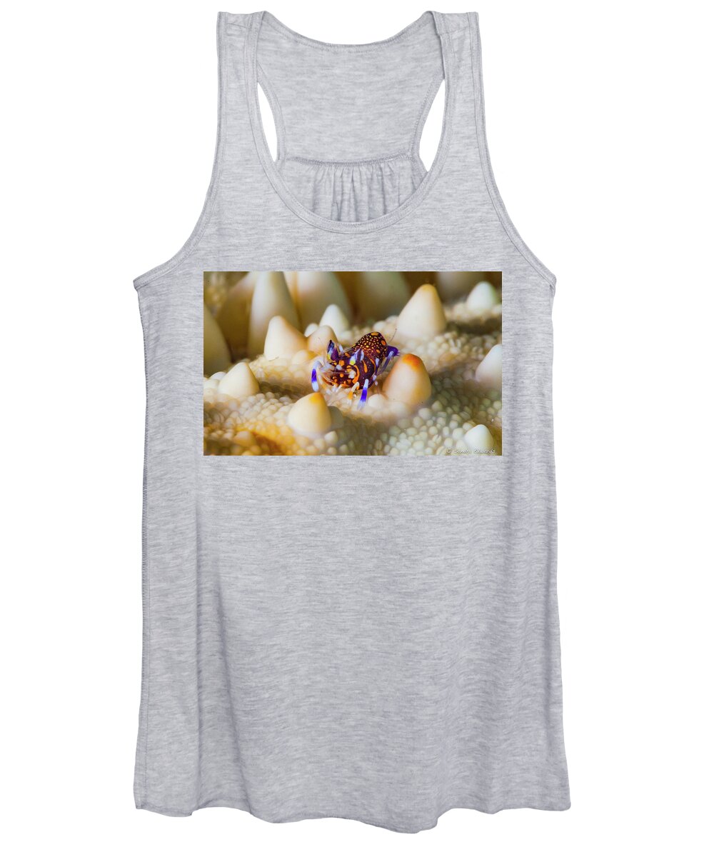 Bumblebee Women's Tank Top featuring the photograph Tiny Big World by Sandra Edwards