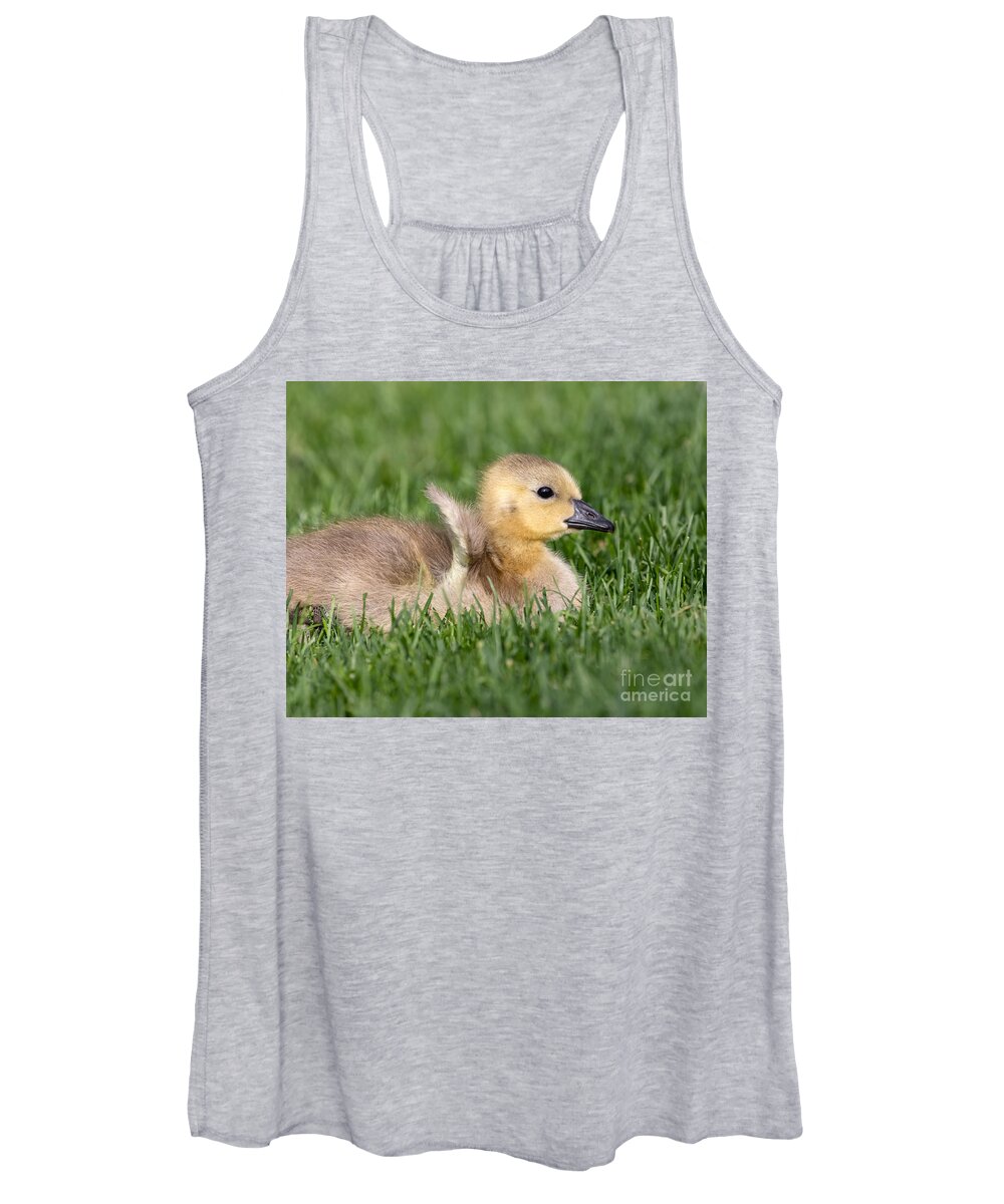 Photography Women's Tank Top featuring the photograph Tiny Wings by Alma Danison
