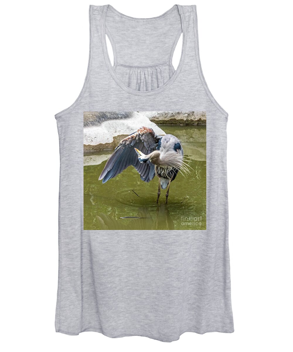 Great Blue Heron Women's Tank Top featuring the photograph Great Blue Preening by Kate Brown