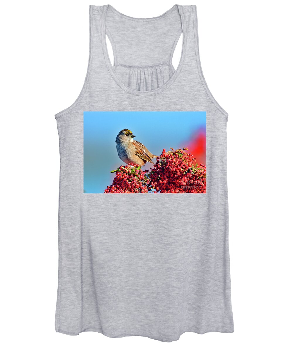 Sparrow Women's Tank Top featuring the photograph Yellow Crowned Sparrow by Amazing Action Photo Video