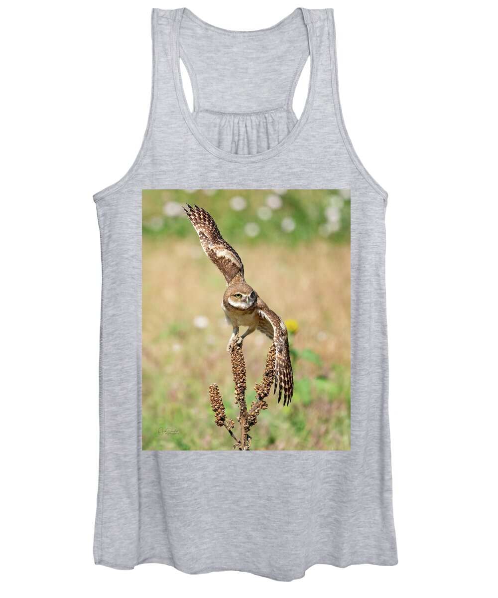 Burrowing Owls Women's Tank Top featuring the photograph Young Burrowing Owl on Mullein by Judi Dressler