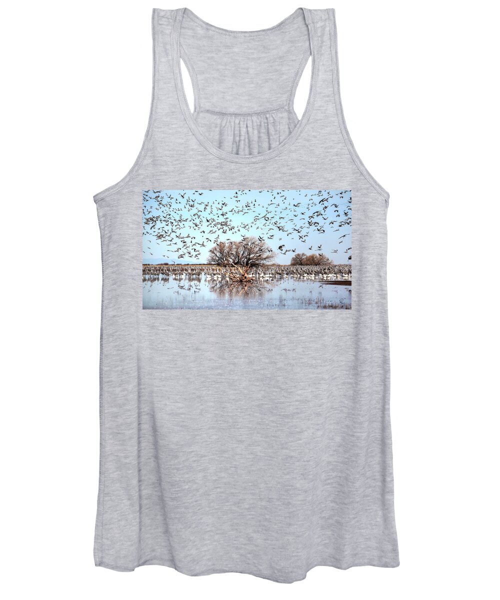 Wildlife Women's Tank Top featuring the photograph Arrival by Robert Harris