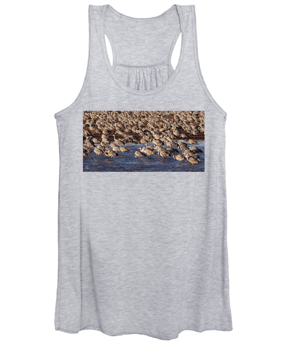 Arizona Women's Tank Top featuring the photograph Whitewater Draw 1870 #1 by Robert Harris