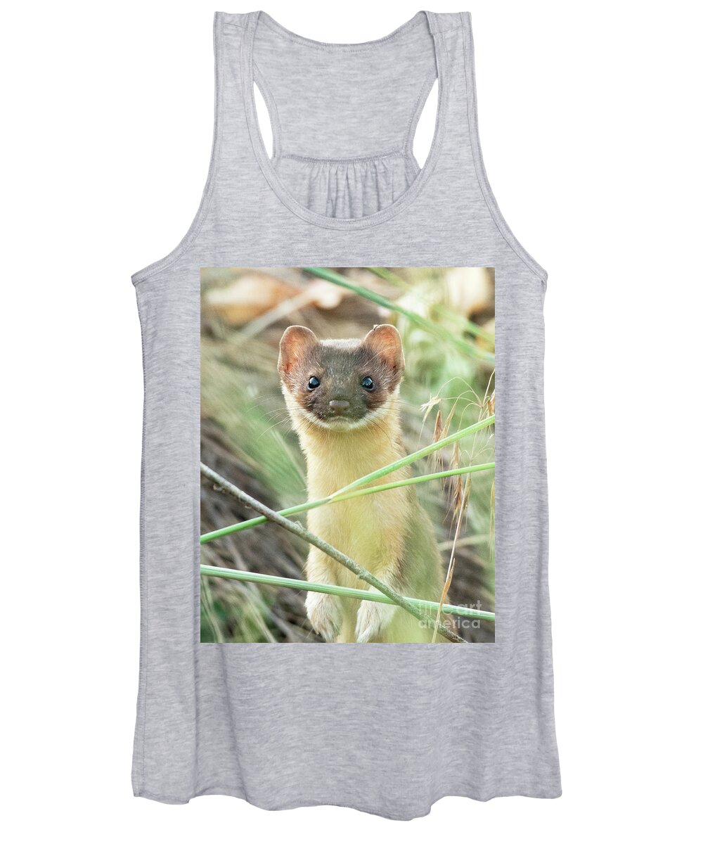 Mammal Women's Tank Top featuring the photograph Long-tailed Weasel #14 by Dennis Hammer