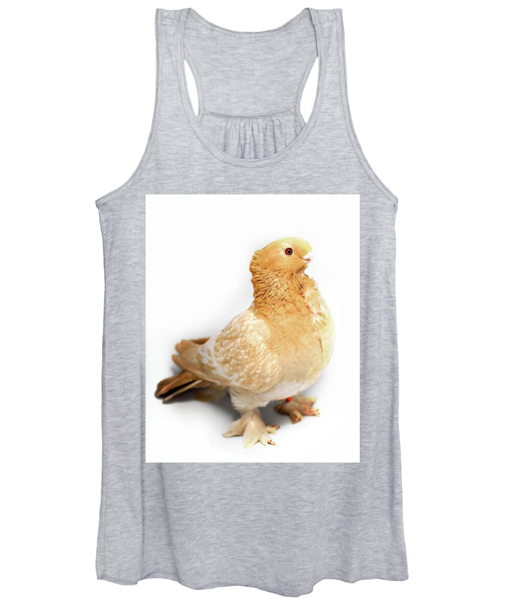 Pigeon Women's Tank Top featuring the photograph Yellow Modern Frill Pigeon #2 by Nathan Abbott